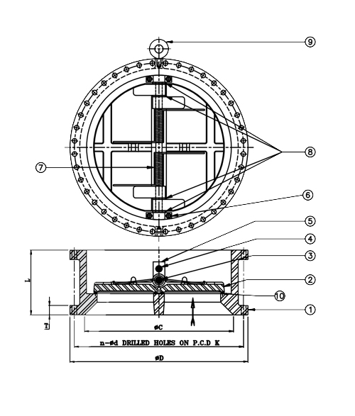 Cast Iron Dual Plate Check Valve 3