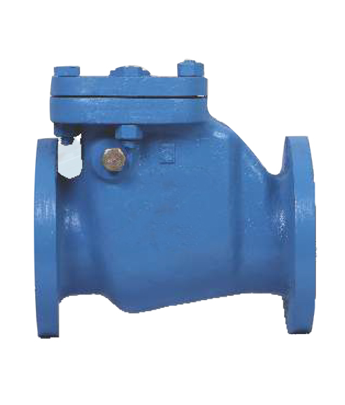 Cast Iron Swing Check Valve 2