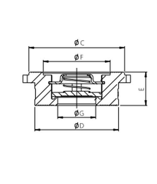 Disc Check Valve 4