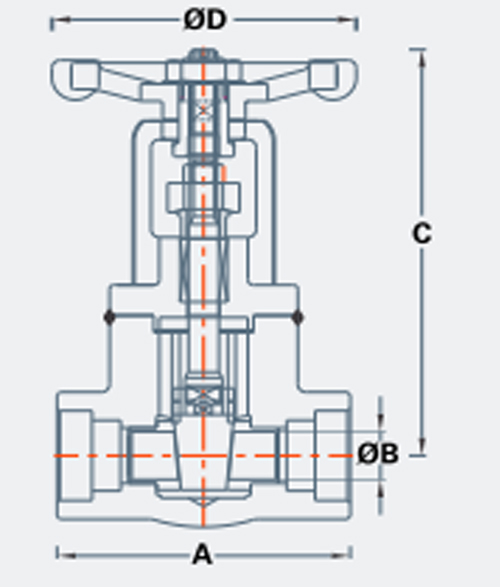 Forged Globe Valve 3