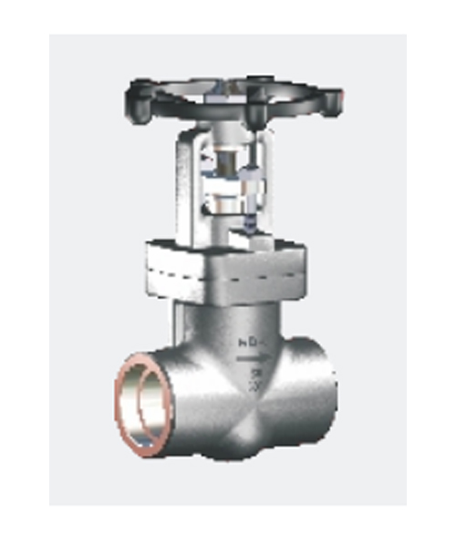 Forged Globe Valve