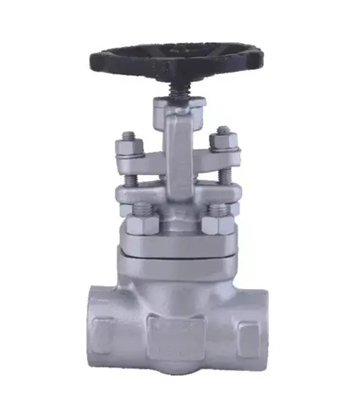 Forged Steel Gate Leader valve - 2500