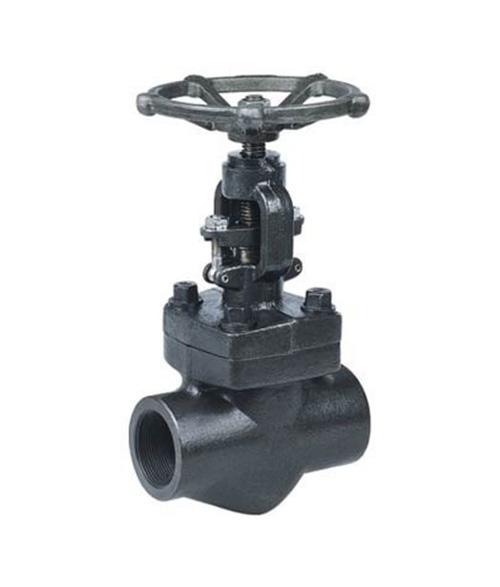 Forged Steel Gate Leader valve - 300