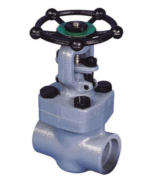 Forged Steel Gate Leader valve - 600