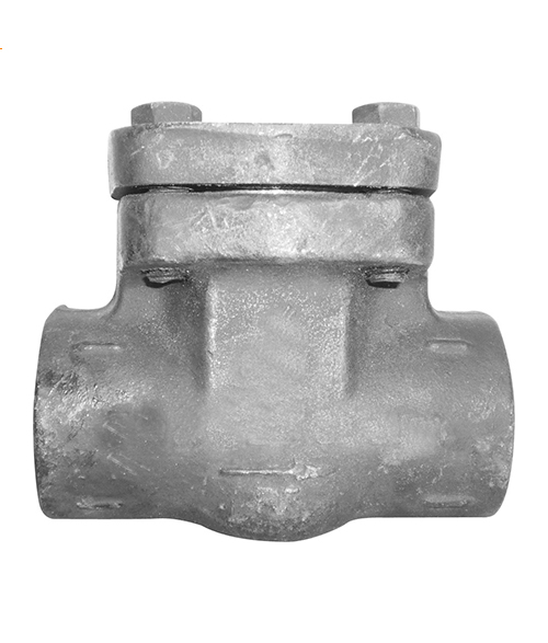 Forged Steel Nrv Valve 2