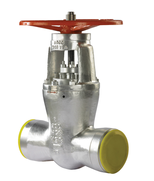 Dual Plate Check Valve