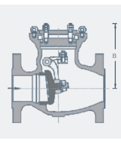 High Pressure Check Valve 2