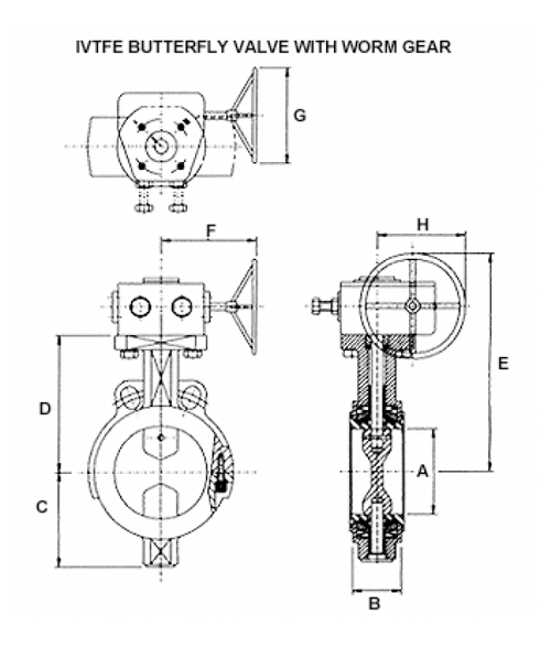 IVTFE Butterfly Valve With Worm Gear