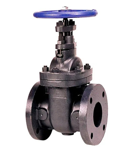 Leader Cast Iron Gate Valve 10 125