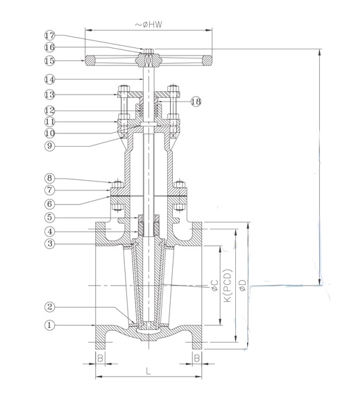 Leader Cast Iron Globe Valve 125