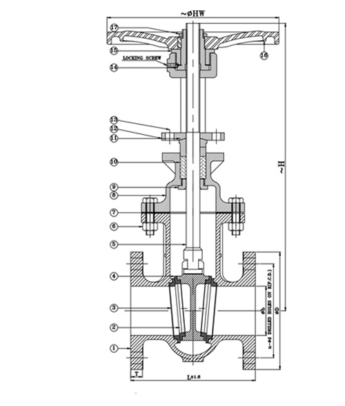 Leader Cast Iron Gate Valve 4 125