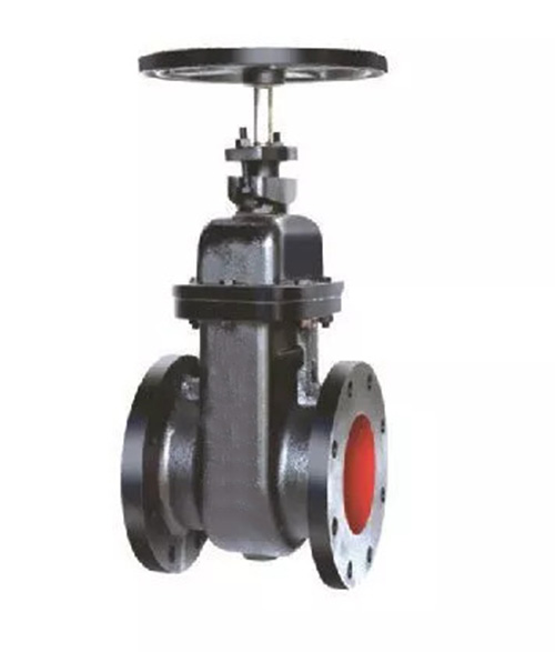 Leader Cast Iron Gate Valve 7 125