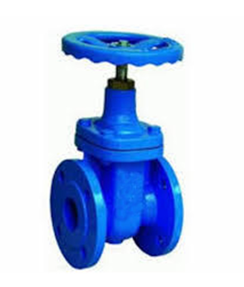 Leader Cast Iron Gate Valve 8 125