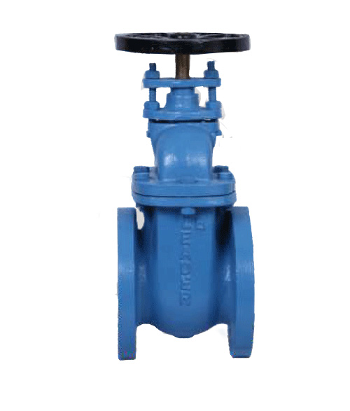 Leader Cast Iron Gate Valve 2 125