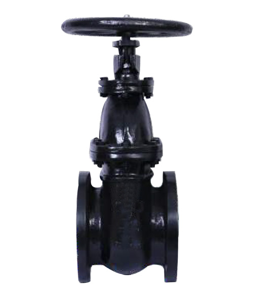 Leader Cast Iron Gate Valve 3 125