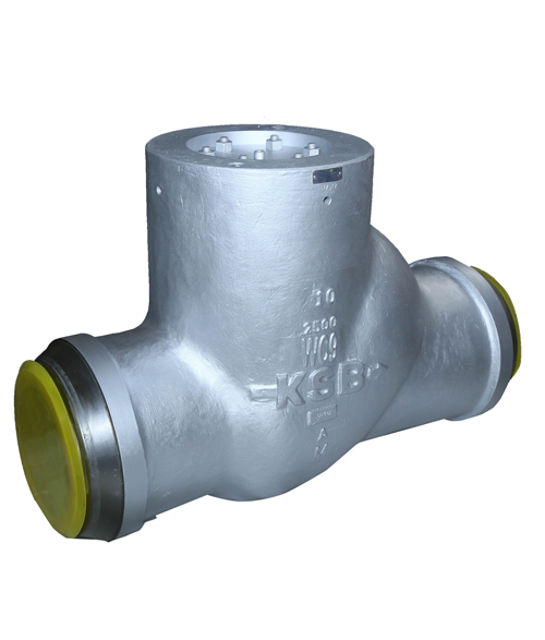 Dual Plate Check Valve